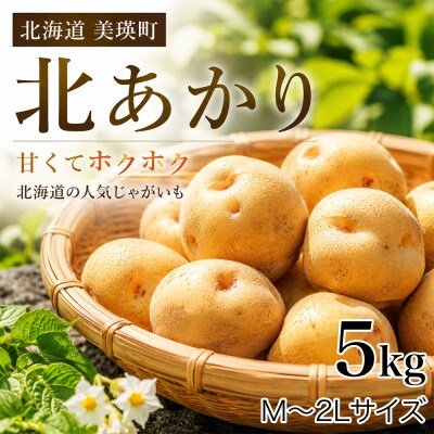 【先行予約】じゃがいも きたあかり 5kg <令和8年産> おおとり