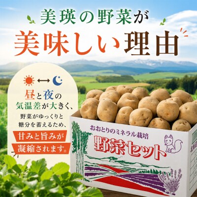 【先行予約】じゃがいも きたあかり 5kg <令和8年産> おおとり