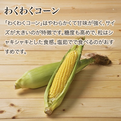 ≪令和7年産先行受付!≫美瑛産とうもろこし(黄・白)12本