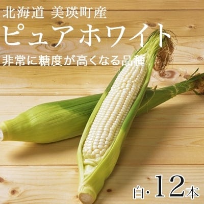 ≪令和7年産先行受付!≫美瑛産とうもろこし(白)12本