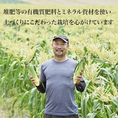 ≪令和7年産先行受付!≫美瑛産とうもろこし(白)12本