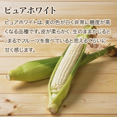 ≪令和7年産先行受付!≫美瑛産とうもろこし(白)12本