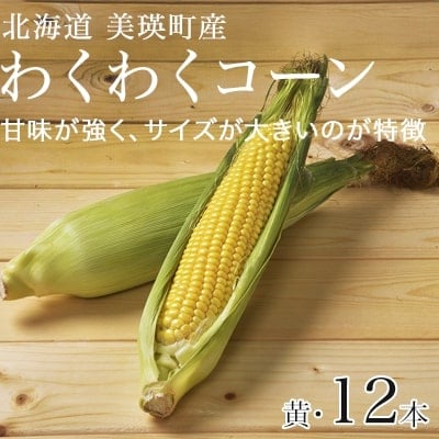 ≪令和7年産先行受付!≫美瑛産とうもろこし(黄)12本