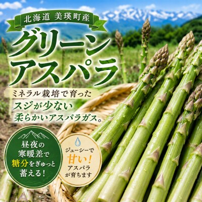 【令和9年産 先行予約】野菜の定期便 4回便 アスパラ とうもろこし じゃがいも 玉ねぎ おおとり