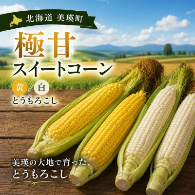 【令和9年産 先行予約】野菜の定期便 4回便 アスパラ とうもろこし じゃがいも 玉ねぎ おおとり