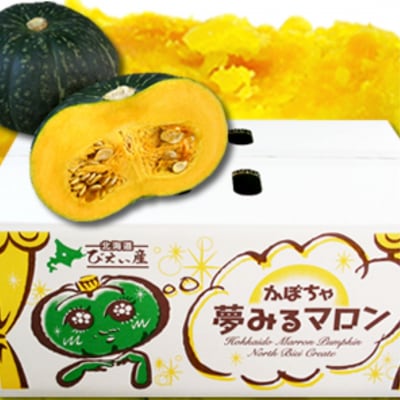 ≪令和7年産先行受付!≫おおとり 夢みるマロン南瓜 