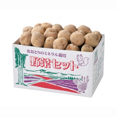 ≪令和7年産先行受付!≫おおとり 男爵&きたあかりのセット(各5kg)