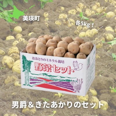 じゃがいも ≪令和7年産先行受付!≫おおとり 男爵&きたあかりのセット(各5kg)