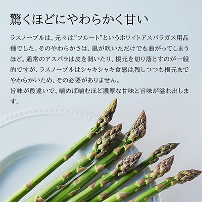 令和8年産!北海道美瑛町幻のアスパラ 本山農場のラスノーブル(グリーンアスパラ)Mサイズ2kg