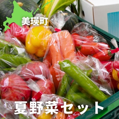 ≪令和7年産先行受付!≫美景農園　夏野菜セット
