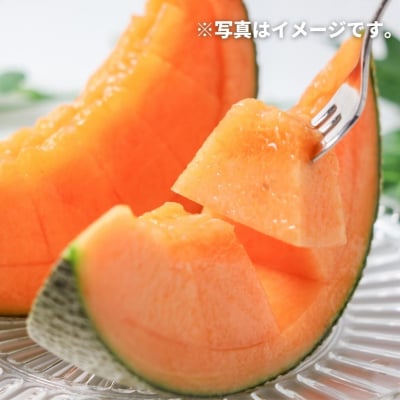【令和9年産先行受付】メロン 2玉 赤肉メロン 北海道 美景農園　