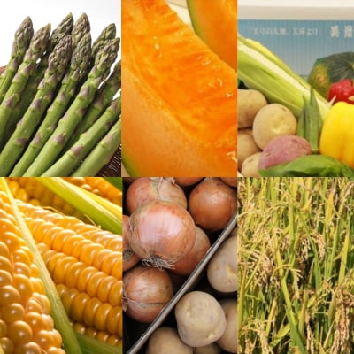 ≪令和8年産先行受付!≫美景農園　野菜の定期便(6回)