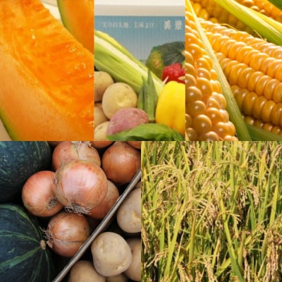 ≪令和8年産先行受付!≫美景農園　野菜の定期便(5回)