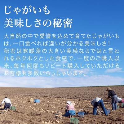 【令和7年産先行受付!】松本農場の北あかり5kg