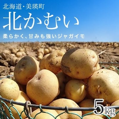 【令和7年産先行受付!】松本農場の北かむい5kg