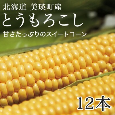 とうもろこし ≪令和8年産先行受付!≫美瑛選果　スイートコーン(黄12本) 