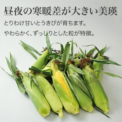 とうもろこし ≪令和8年産先行受付!≫美瑛選果　スイートコーン(黄12本) 
