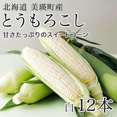 とうもろこし ≪令和8年産先行受付!≫美瑛選果 スイートコーン(白12本) 
