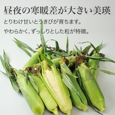 とうもろこし ≪令和8年産先行受付!≫美瑛選果 スイートコーン(白12本) 