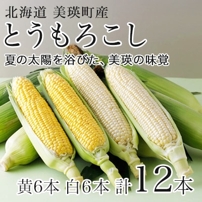 とうもろこし ≪令和8年産先行受付!≫美瑛選果 スイートコーン(白・黄)各6本セット
