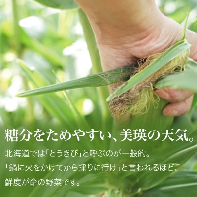 とうもろこし ≪令和8年産先行受付!≫美瑛選果 スイートコーン(白・黄)各6本セット