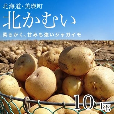 【令和7年産先行受付!】松本農場の北かむい10kg 