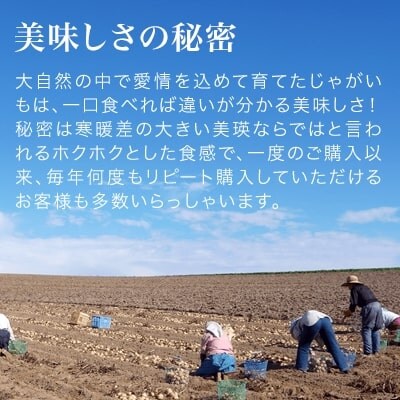 【令和7年産先行受付!】松本農場の北かむい10kg 
