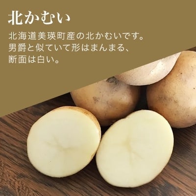 【令和7年産先行受付!】松本農場の北かむい10kg 