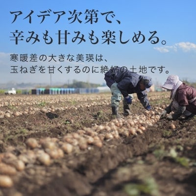 ≪令和7年産先行受付!≫美瑛選果　美瑛町産玉ねぎ10kg