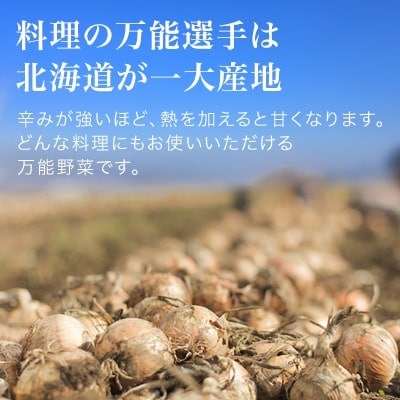 玉ねぎ 10kg ≪令和8年産先行受付≫ 北海道産