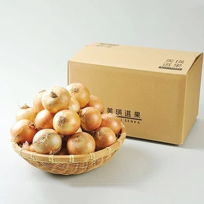 玉ねぎ 10kg ≪令和7年産先行受付≫ 北海道産