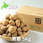 じゃがいも ≪令和7年産先行受付!≫美瑛選果　美瑛町産男爵5kg
