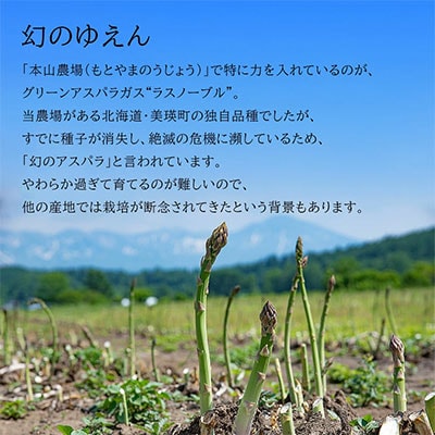 令和8年産!北海道美瑛町幻のアスパラ 本山農場のラスノーブル(グリーンアスパラ)2S～Sサイズ1kg