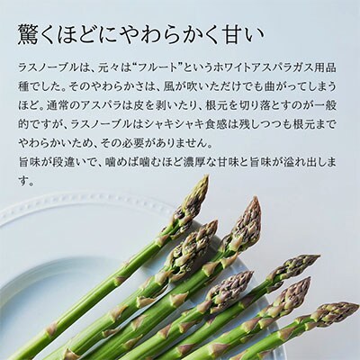 令和7年産!北海道美瑛町のアスパラ 本山農場のラスノーブル(グリーンアスパラ)M～2L 2kg