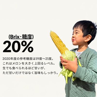 とうもろこし  【令和7年産予約受付!】墫乃字 ひとさじ農場 100日とうきび(農場直送) 