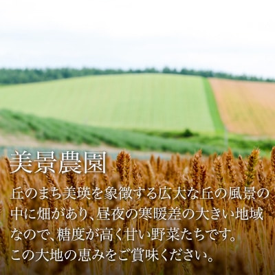 野菜セット ≪令和8年産予約受付!≫美景農園　秋の野菜セット