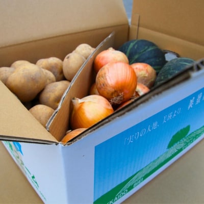 野菜セット ≪令和8年産予約受付!≫美景農園　秋の野菜セット