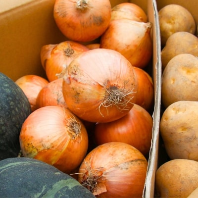 野菜セット ≪令和8年産予約受付!≫美景農園　秋の野菜セット