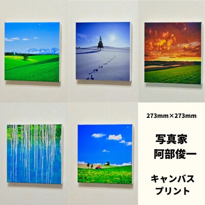 写真家　阿部俊一　キャンバスプリント(273mm × 273mm)[036-28]