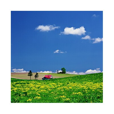 写真家　阿部俊一　額付き写真 [036-35]