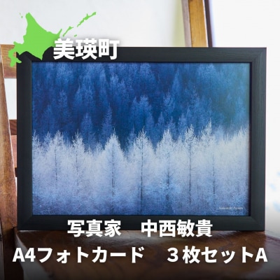 写真家　中西敏貴　A4フォトカード　3枚セットA