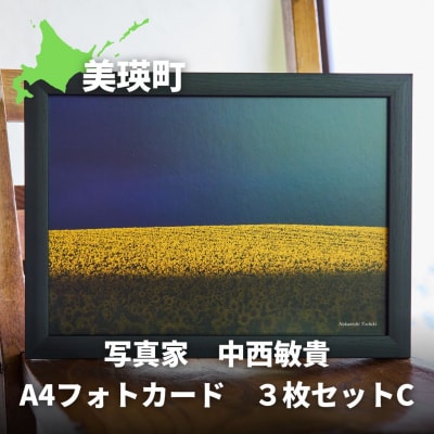 写真家　中西敏貴　A4フォトカード　3枚セットC