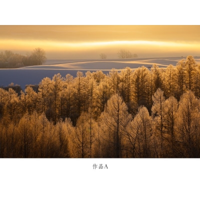写真家　中西敏貴　額付き写真(サイン入り)