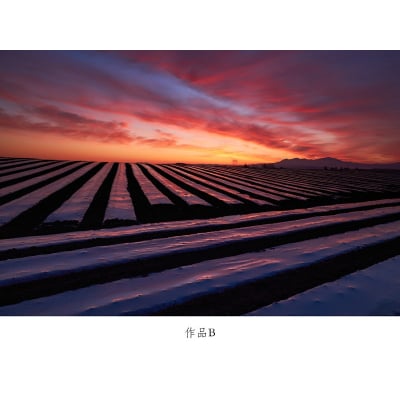 写真家　中西敏貴　額付き写真(サイン入り)