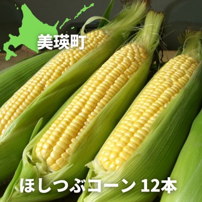 【令和7年産予約受付!】黒木農場　とうもろこし(ほしつぶコーン)12本 