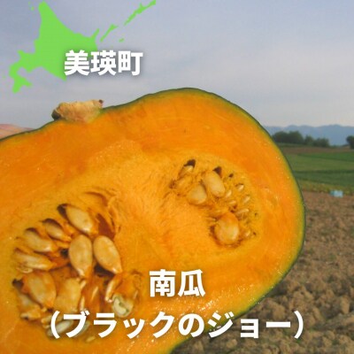 かぼちゃ 【令和7年産予約受付!】黒木農場 南瓜(ブラックのジョー)