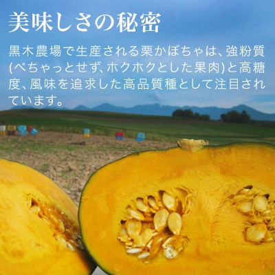 かぼちゃ 【令和7年産予約受付!】黒木農場 南瓜(ブラックのジョー)
