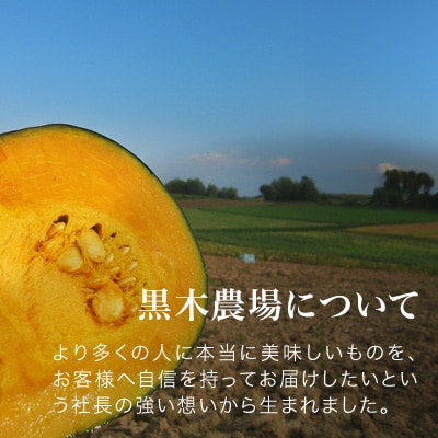 かぼちゃ 【令和7年産予約受付!】黒木農場 南瓜(ブラックのジョー)