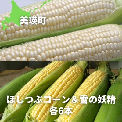 とうもろこし 【令和7年産予約受付!】黒木農場　とうもろこし(ほしつぶコーン&雪の妖精)各6本