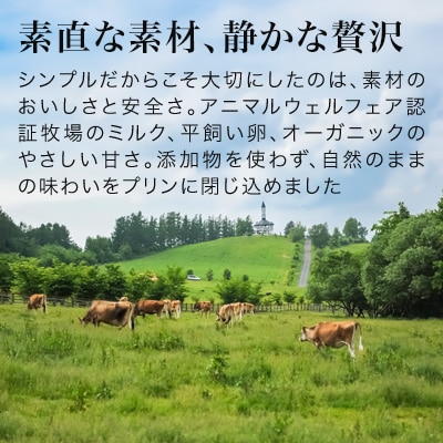 プリン  6本   フェルムラテール美瑛